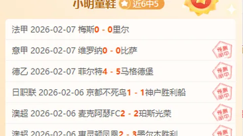 罗甲期号专家推荐：数据清晰，机会大好